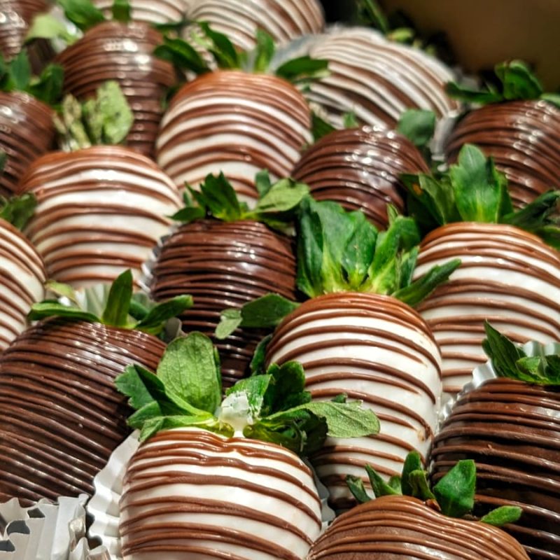 WhatsApp Image 2026-01-26 at 2.55.16 PM (1)